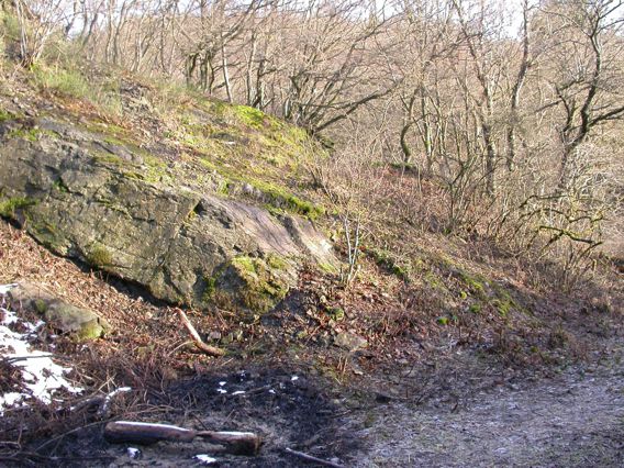 Steinbruch Felsnase, alter Schulweg und Schlingnatter